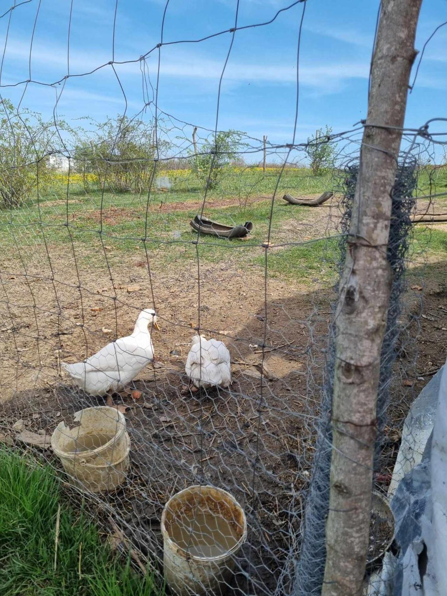 Boghiş Pensiunea Agroturistica Casa Sirca מראה חיצוני תמונה